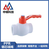 中锦科技 PPR钢芯球阀 定制 个