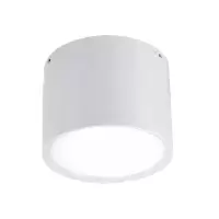 铁邦邦 筒灯8寸 20W 个