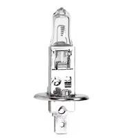 铁邦邦 灯泡 H1 个