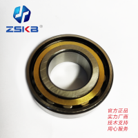 ZSKB 圆柱滚子轴承 N309EM/P5