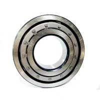 ZSKB 圆柱滚子轴承 NUP205EW/P5