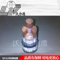 沃尔德电缆 电力电缆 YJV22 0.6/1KV 2*70