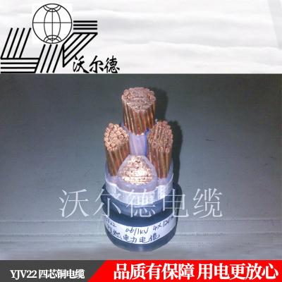 沃尔德电缆 电力电缆 YJV22 0.6/1KV 2*70