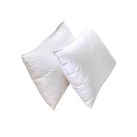 广顺泰 羽丝绒枕芯 YS-R47 45*75cm 个