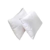 广顺泰 全棉枕芯 ZX-R55 45*75cm 个