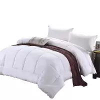 广顺泰 6斤全棉羽丝绒被芯 YS-RB1 180*220cm 床