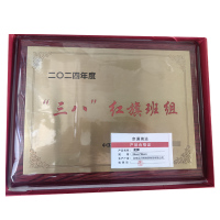 京通瑞达 奖牌 24cm*34cm 个