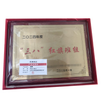 京通瑞达 奖牌 30cm*40cm 个