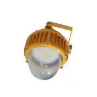 格瑞达 LED防爆灯 GS8003-70W 个