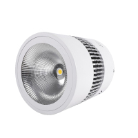 格瑞达 LED筒灯 GS7103-D-100W 个