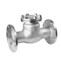 伟鹏双兴 304不锈钢法兰止回阀 DN20(6分) 个