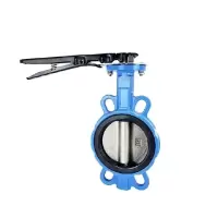 伟鹏双兴 手柄铸铁对夹式蝶阀 DN50四氟/304阀板 台