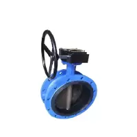 伟鹏双兴 手动铸铁涡轮法兰式蝶阀 DN500 台