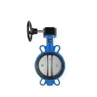 伟鹏双兴 涡轮铸铁对夹式蝶阀 DN200乙丙/304阀板 台