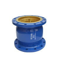 伟鹏双兴 法兰消声止回阀 DN50 台