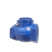 伟鹏双兴 蓝色铸铁丝扣止回阀 DN15 台