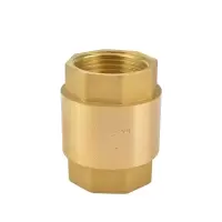 伟鹏双兴 黄铜丝扣立式止回阀 DN15(4分) 台