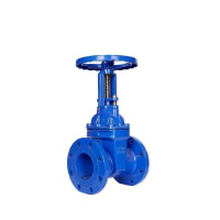 伟鹏双兴 法兰软密封明杆闸阀 DN500 台