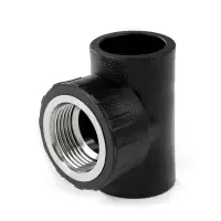 伟鹏双兴 PE内丝三通热熔三通 PE25螺纹3/4(6分) 个