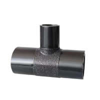 伟鹏双兴 PE对接热熔变径三通 160*125mm 个