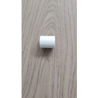 腾友安 PPR外丝直通 DN20/个