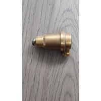 腾友安 铜自动排气阀 DN20/个