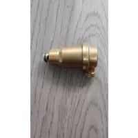 腾友安 铜自动排气阀 DN20/个