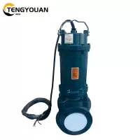 腾友安 污水污物潜水泵 50WQ15-35-4B/台