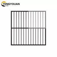 腾友安 防护栏TYF-1/平方米