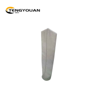 腾友安/滤网/10目100个/包