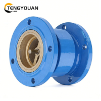 腾友安逆止阀DN80