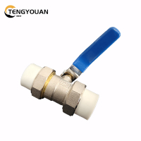 腾友安双活接球阀DN25/个