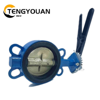 腾友安对夹蝶阀DN50/个