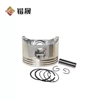 锴晟 活塞总成 M165-AS165 套