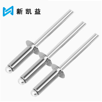 新凯益 304不锈钢抽芯铆钉 4*10 个