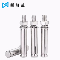 新凯益 304不锈钢膨胀螺丝螺栓 M6*50 个