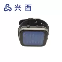 兴酉 手表 ZNYY1 个