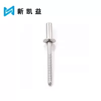 新凯益 304不锈钢封闭式抽芯铆钉 M4*25 个