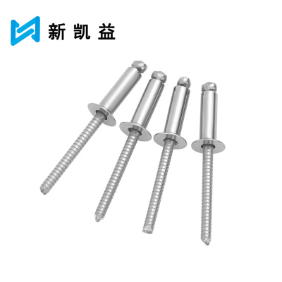 新凯益 不锈钢沉头抽芯铆钉 φ4*25 个