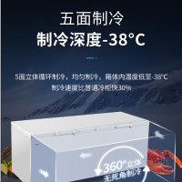 海尔(Haier) 冰柜大容量卧式冷柜商用保鲜冷藏冷冻转换展示柜顶开门匀冷低霜大冷冻五面制冷快速BC/BD-719HEZ