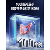 容声(Ronshen)BCD-230ZKM蝶形门冰柜家用商用大冷藏小冷冻双温冷柜 节能