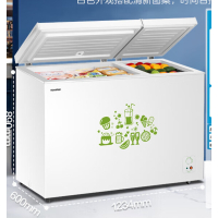Ronshen/容声 BCD-208MS/A冰柜冷柜家用双温卧式顶开门冷冻冷藏