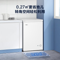 海尔(Haier)BC/BD-100GHDT小冰柜保鲜冷冻两用单温减霜冷柜