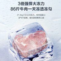 海尔(Haier)BC/BD-369GHPT 冰柜大富豪鑫蓝系列商用大容量卧式冷柜一级能效节能大冻力超低温减霜