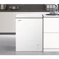 容声冷柜145升小冰柜家用小型冷柜 BD/BC-145ZMSMB