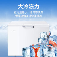 海尔(Haier)BC/BD-379GHP冰柜家用商用300升以上大容量冷藏冷冻冰箱冷柜 卧式冰柜冰箱冷藏柜深冷速冻雪柜