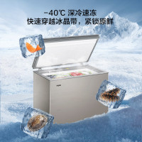 海尔(Haier)BC/BD-203GHEPG 203升智控彩晶低霜商用家用冰柜 冷藏柜冷冻柜母乳囤货小型冰箱冷柜