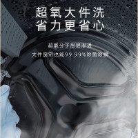 西门子(SIEMENS) 超氧系列 10公斤变频滚筒洗衣机 WB45XME888