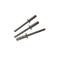 益莘 抽芯拉铆钉 5*25mm 个