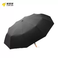 极星健 雨伞 10骨-全自动款 把